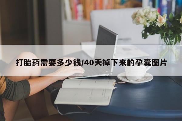 米非司酮片米索前列醇在线下单购买打胎药需要多少钱/40天掉下来的孕囊图片