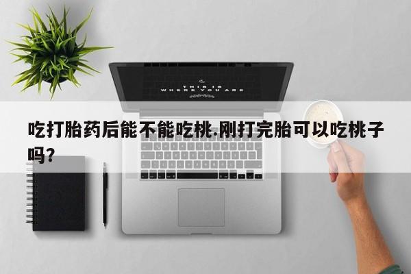 米非司酮片米索前列醇在线下单购买吃打胎药后能不能吃桃.刚打完胎可以吃桃子吗?